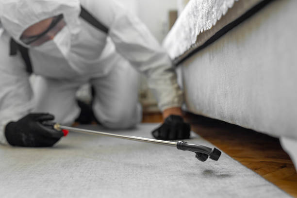 Professional Bed Bug Control technician working in North Liberty, IN