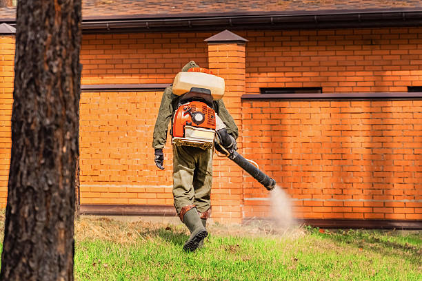 Trusted Bed Bug Control service in North Liberty, IN - Nex Pest Control